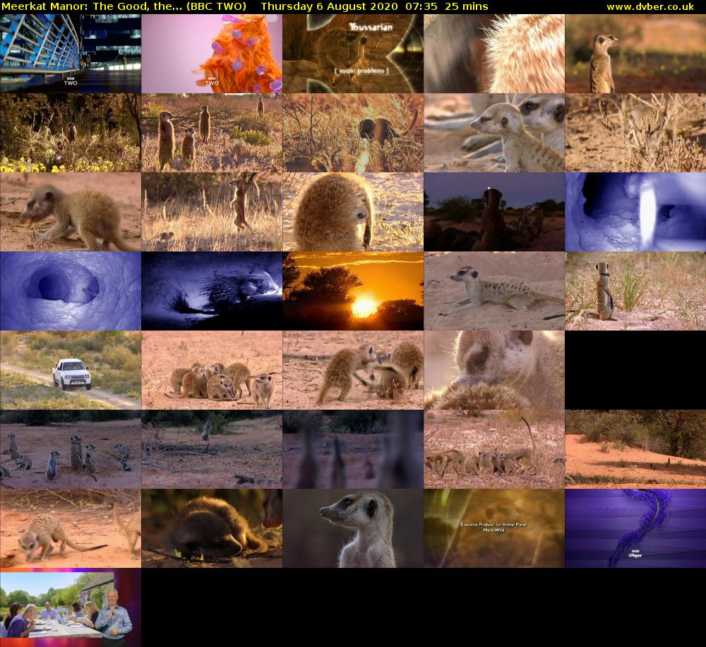 Meerkat Manor: The Good, the... (BBC TWO) Thursday 6 August 2020 07:35 - 08:00