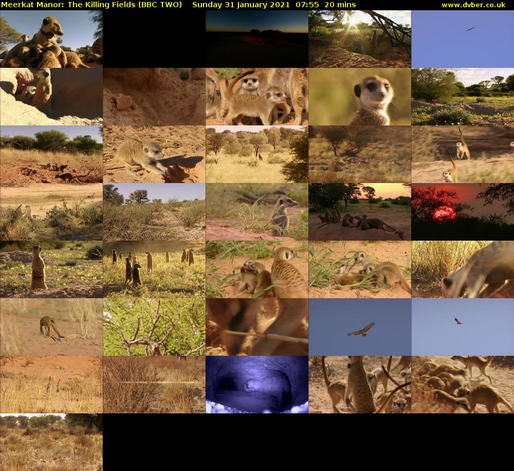 Meerkat Manor: The Killing Fields (BBC TWO) Sunday 31 January 2021 07:55 - 08:15