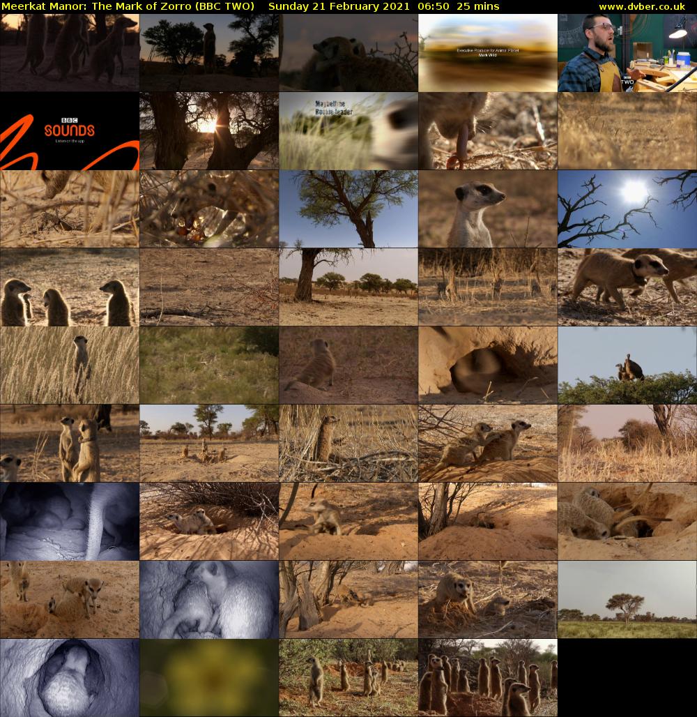 Meerkat Manor: The Mark of Zorro (BBC TWO) Sunday 21 February 2021 06:50 - 07:15