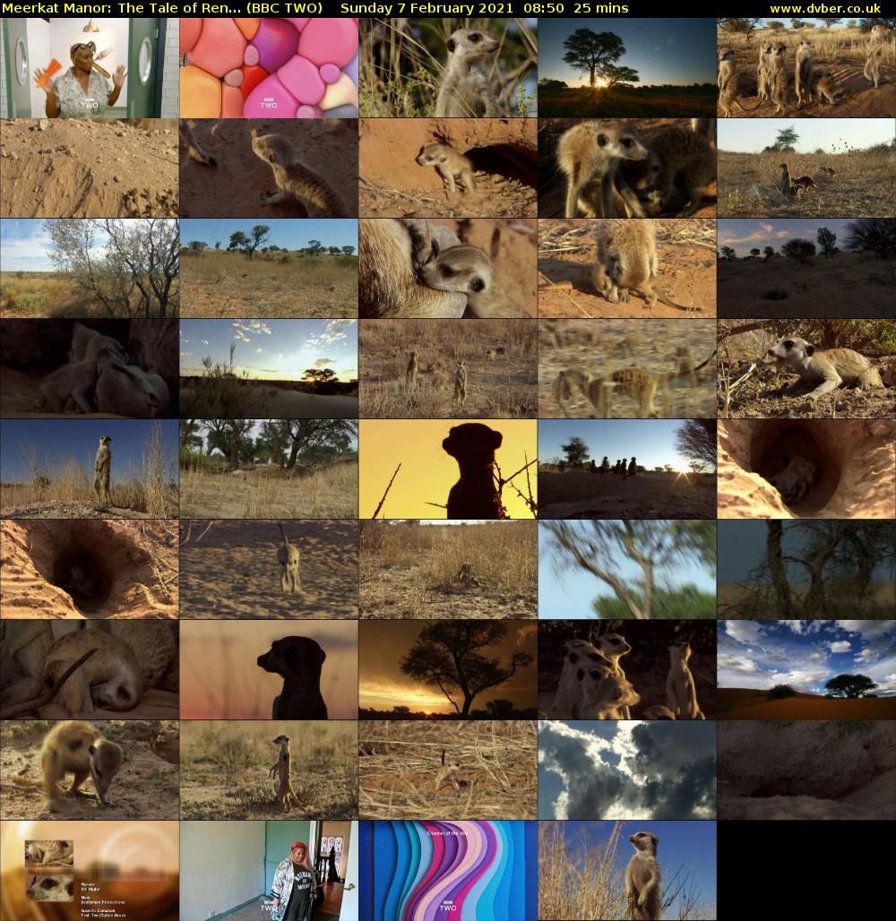 Meerkat Manor: The Tale of Ren... (BBC TWO) Sunday 7 February 2021 08:50 - 09:15