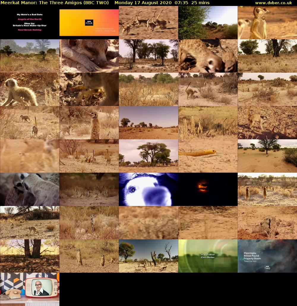 Meerkat Manor: The Three Amigos (BBC TWO) Monday 17 August 2020 07:35 - 08:00