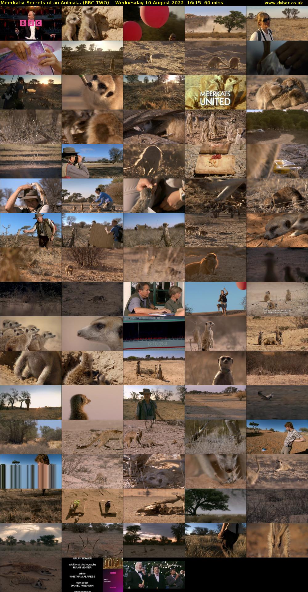 Meerkats: Secrets of an Animal... (BBC TWO) Wednesday 10 August 2022 16:15 - 17:15
