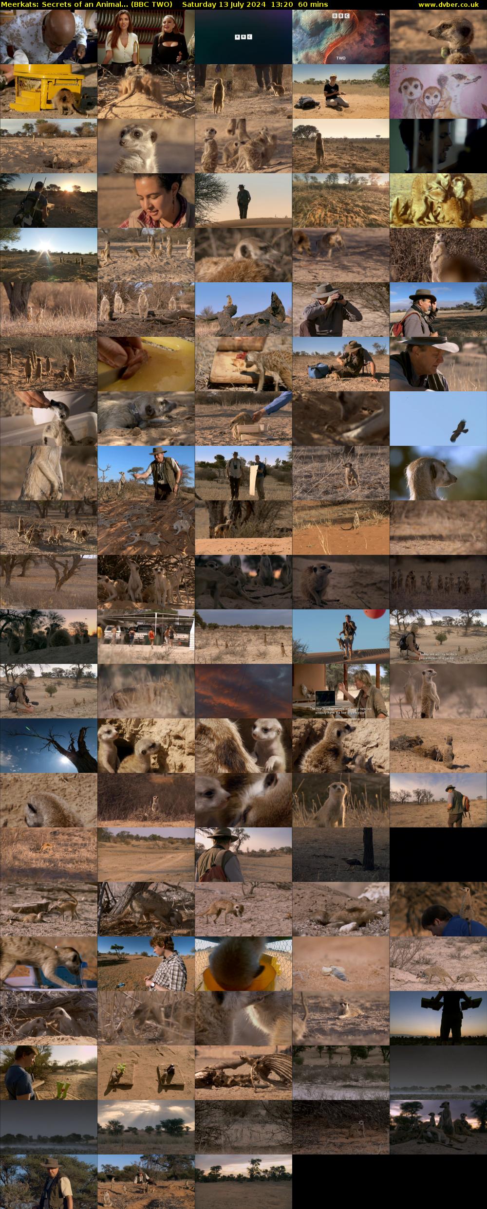 Meerkats: Secrets of an Animal... (BBC TWO) Saturday 13 July 2024 13:20 - 14:20