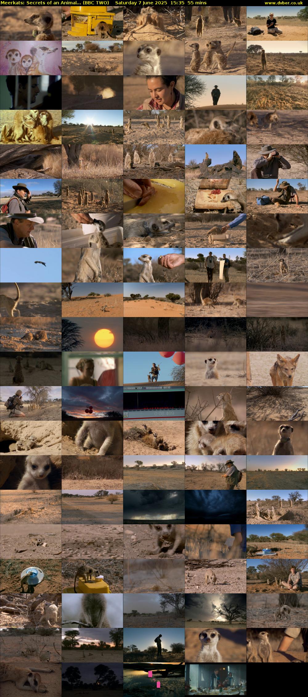 Meerkats: Secrets of an Animal... (BBC TWO) Saturday 7 June 2025 15:35 - 16:30