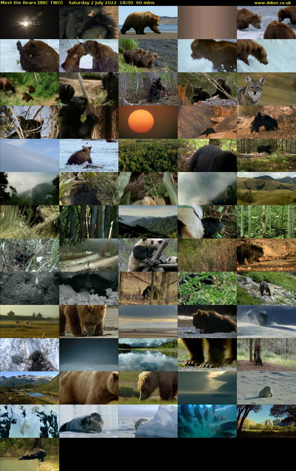 Meet the Bears (BBC TWO) Saturday 2 July 2022 18:00 - 19:00