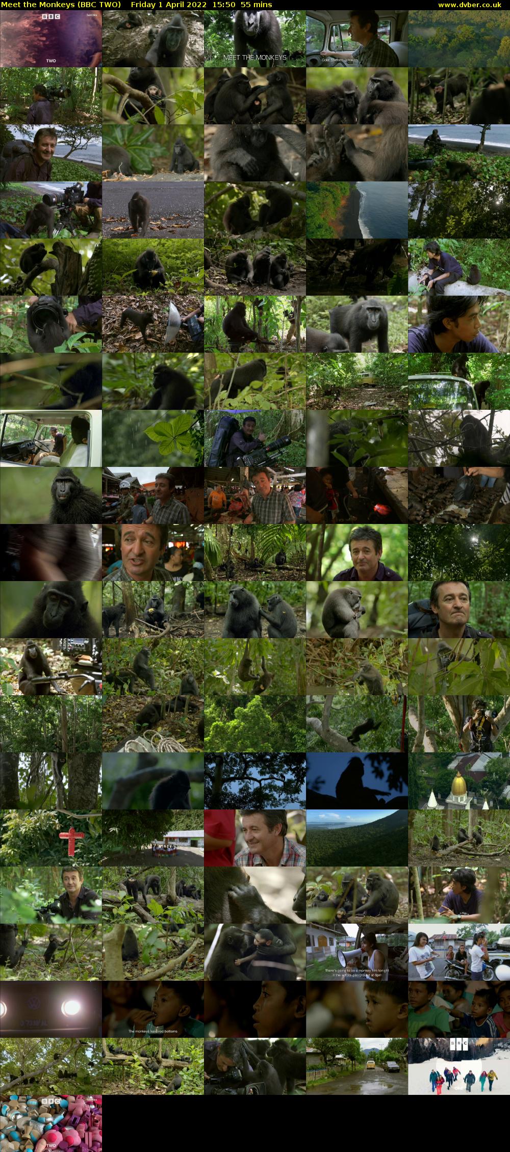 Meet the Monkeys (BBC TWO) Friday 1 April 2022 15:50 - 16:45