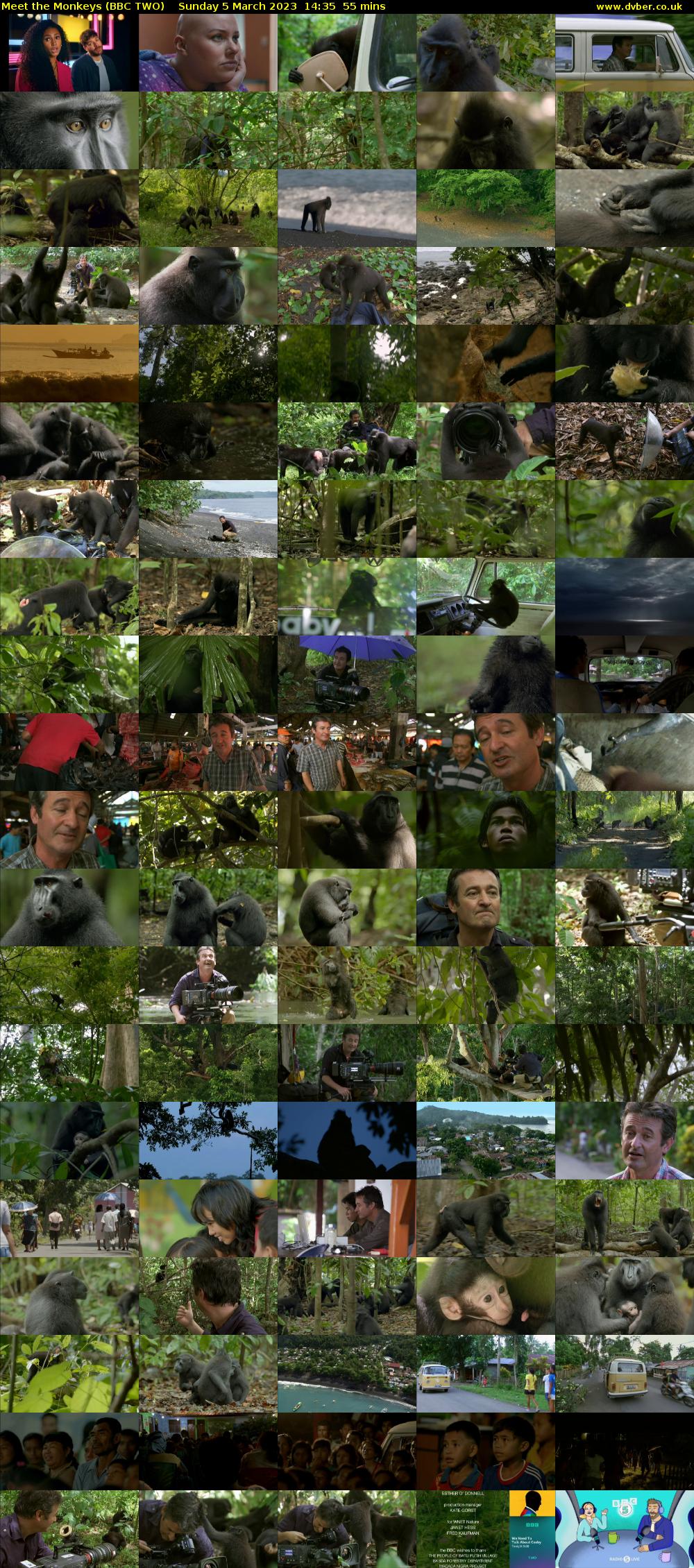 Meet the Monkeys (BBC TWO) Sunday 5 March 2023 14:35 - 15:30