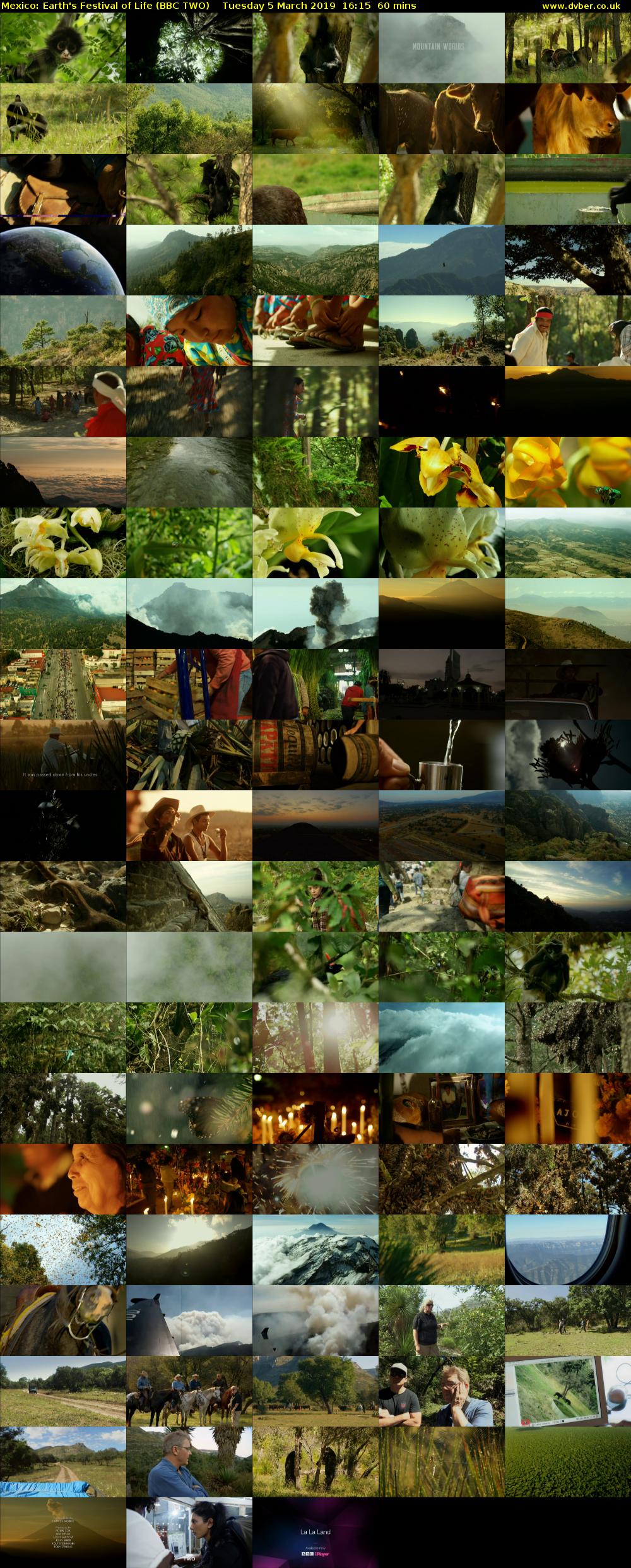 Mexico: Earth's Festival of Life (BBC TWO) Tuesday 5 March 2019 16:15 - 17:15
