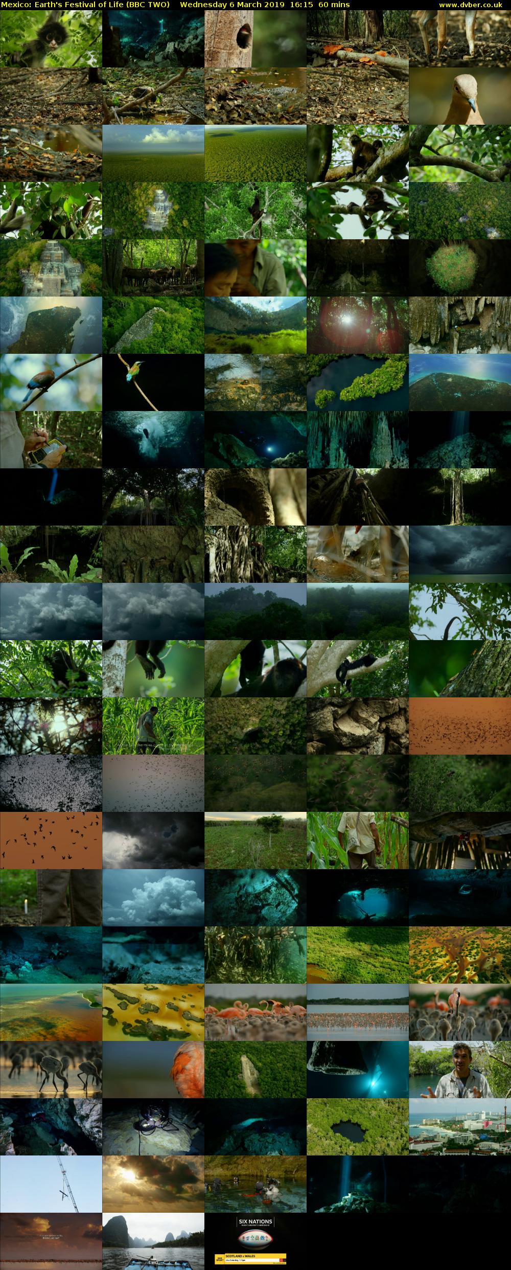 Mexico: Earth's Festival of Life (BBC TWO) Wednesday 6 March 2019 16:15 - 17:15