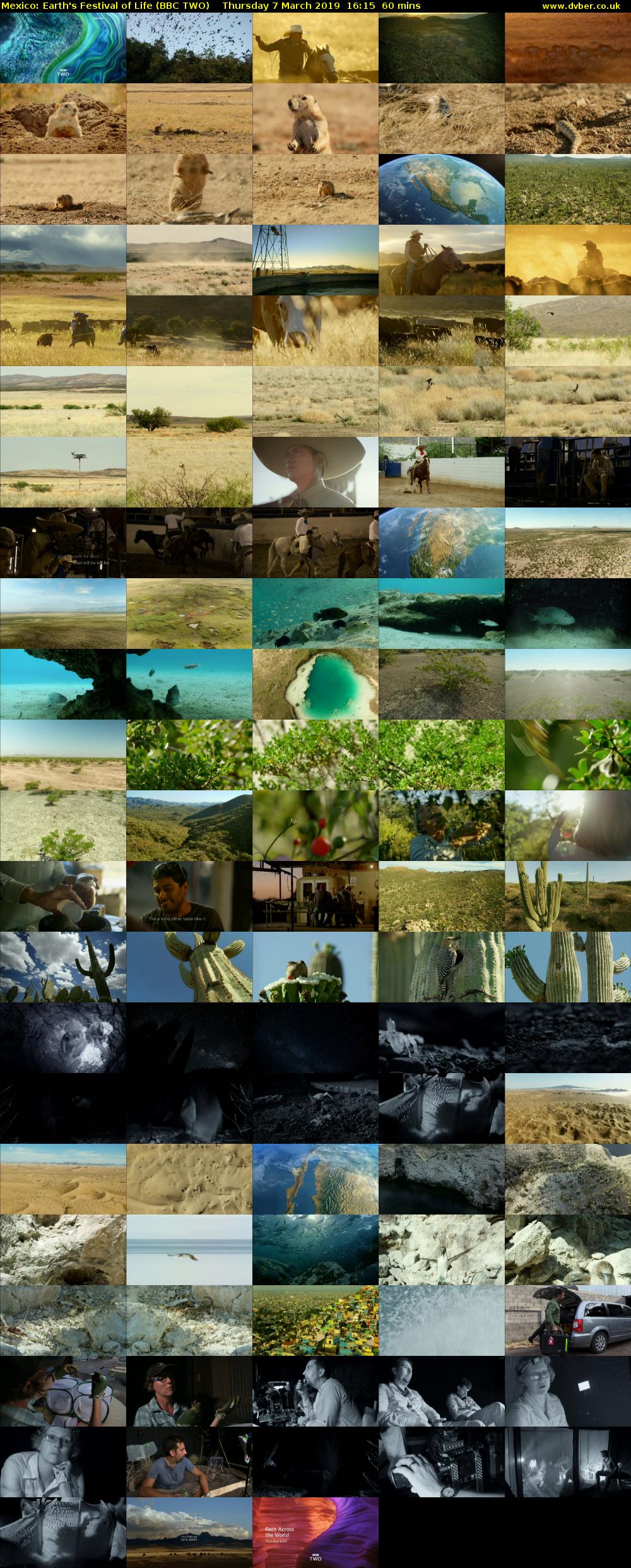 Mexico: Earth's Festival of Life (BBC TWO) Thursday 7 March 2019 16:15 - 17:15