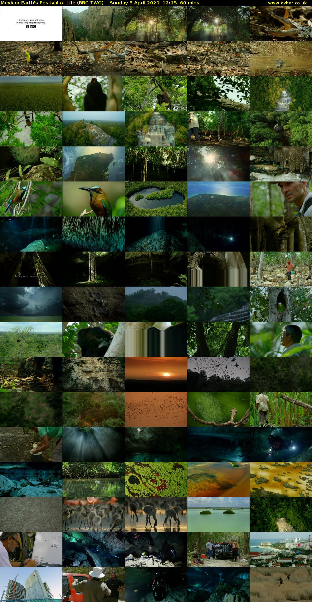 Mexico: Earth's Festival of Life (BBC TWO) Sunday 5 April 2020 12:15 - 13:15