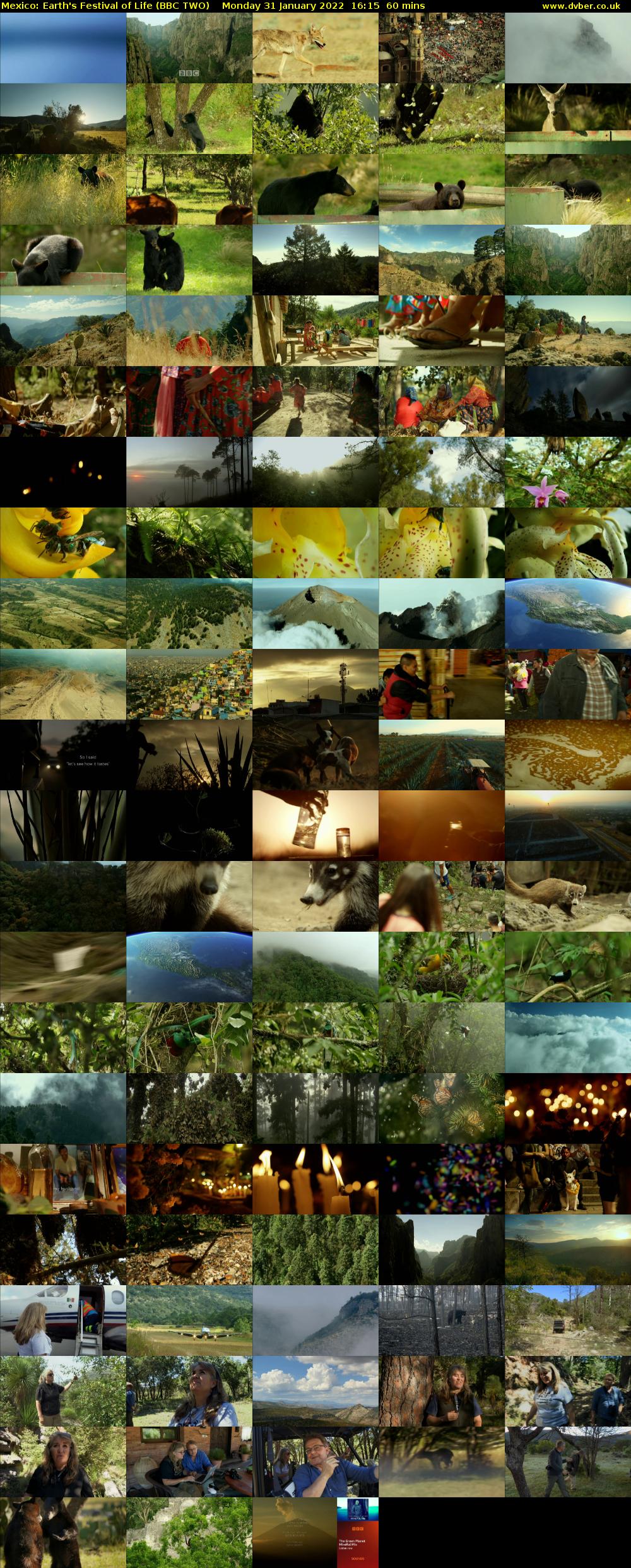 Mexico: Earth's Festival of Life (BBC TWO) Monday 31 January 2022 16:15 - 17:15