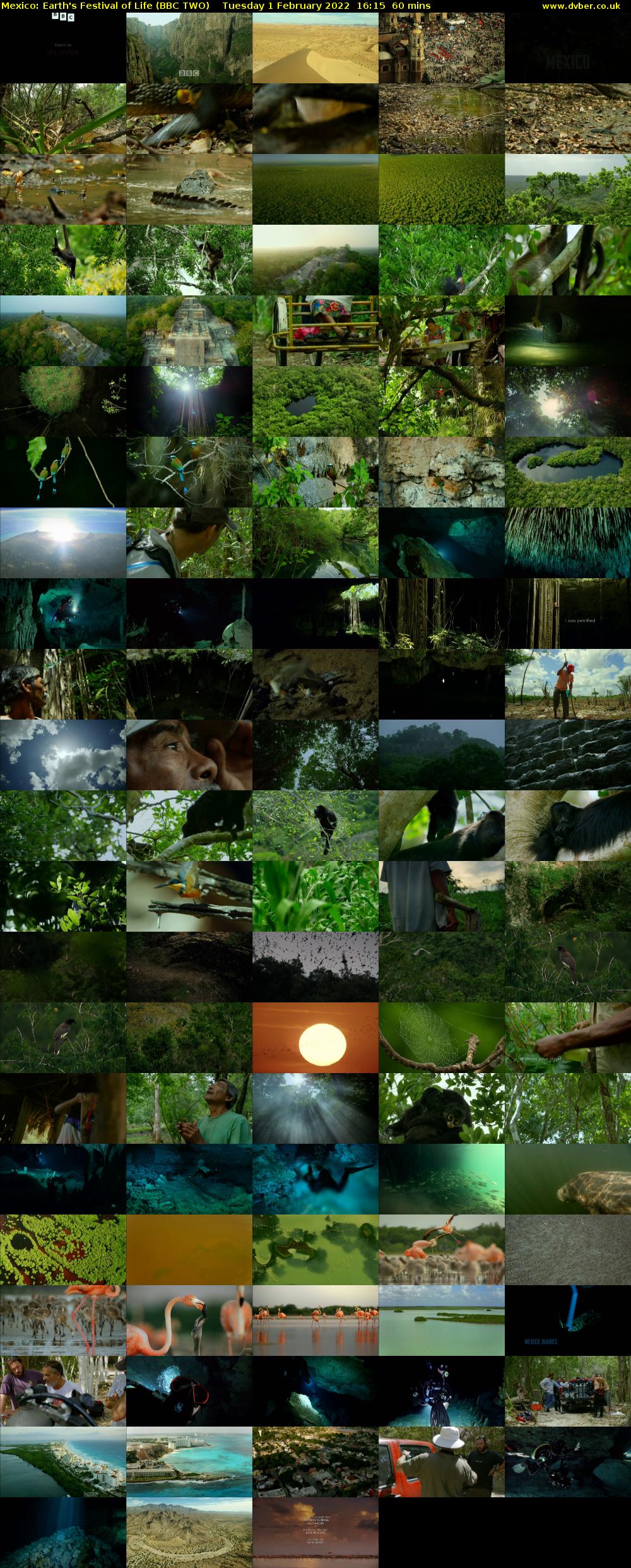 Mexico: Earth's Festival of Life (BBC TWO) Tuesday 1 February 2022 16:15 - 17:15