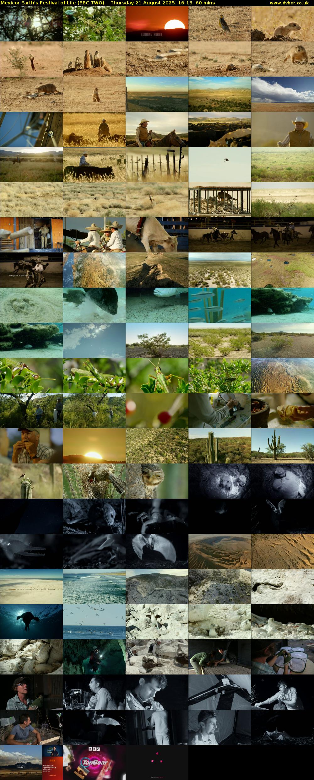 Mexico: Earth's Festival of Life (BBC TWO) Thursday 21 August 2025 16:15 - 17:15