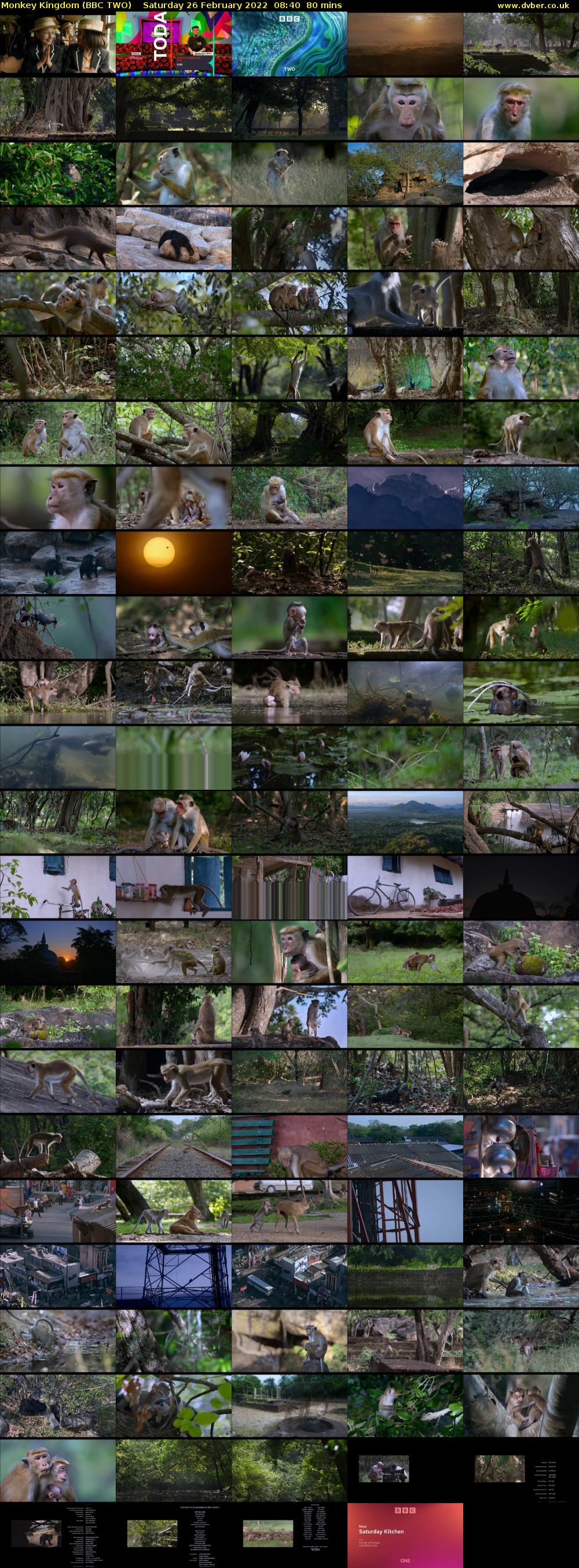 Monkey Kingdom (BBC TWO) Saturday 26 February 2022 08:40 - 10:00