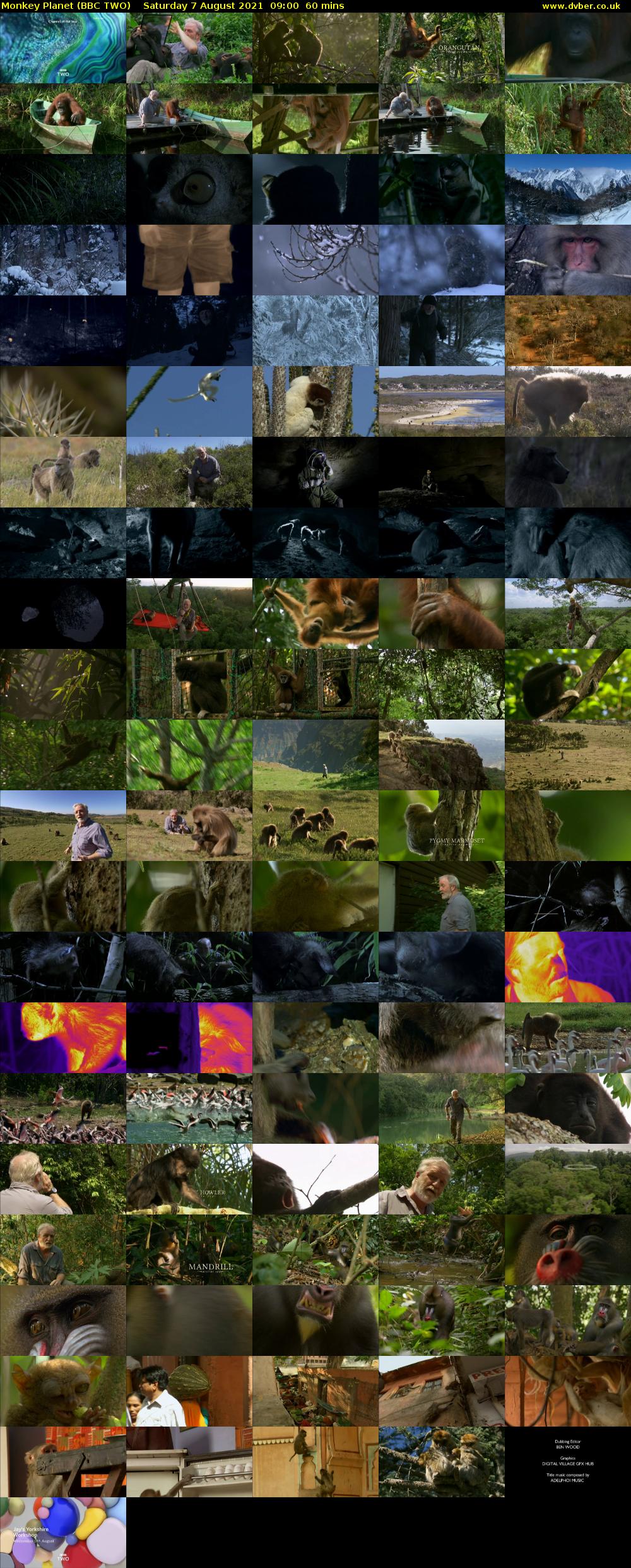 Monkey Planet (BBC TWO) Saturday 7 August 2021 09:00 - 10:00