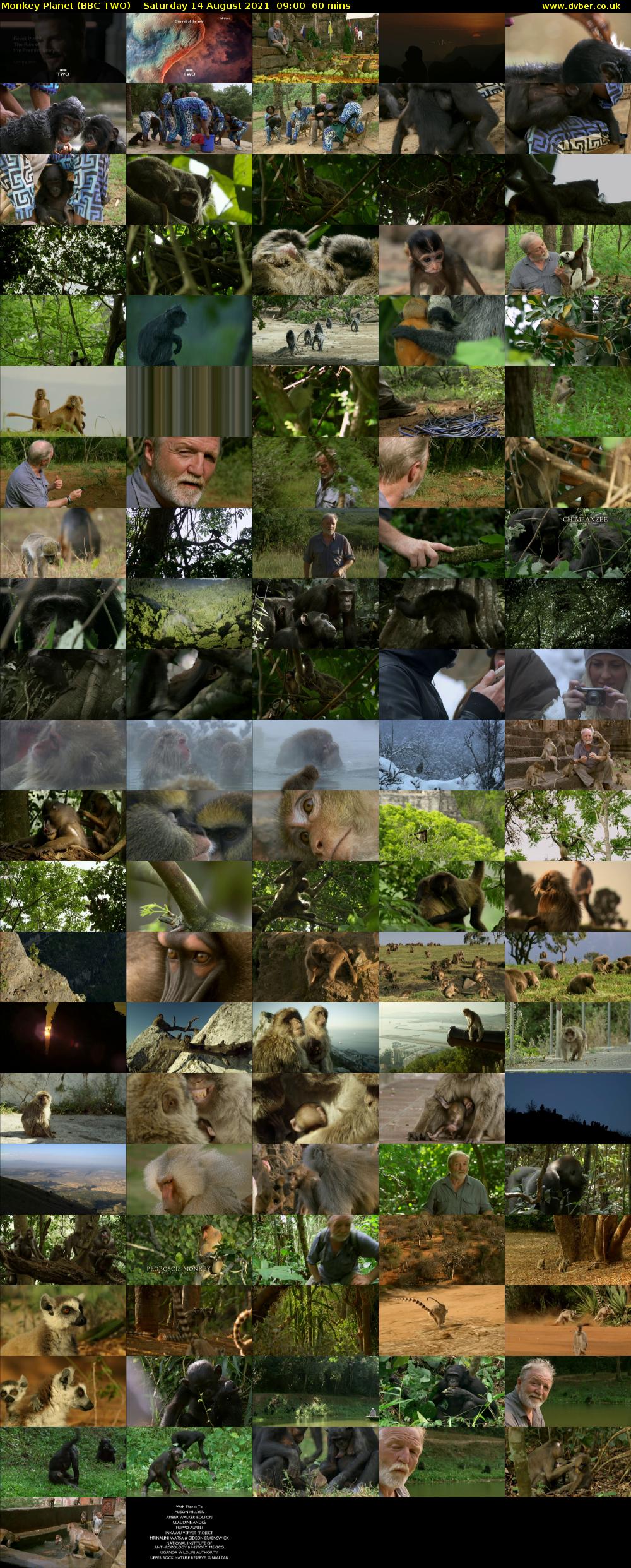 Monkey Planet (BBC TWO) Saturday 14 August 2021 09:00 - 10:00