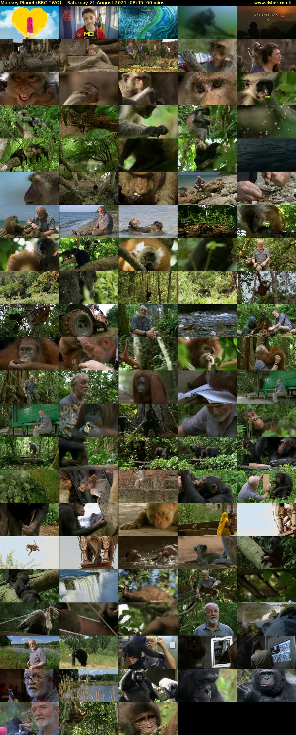 Monkey Planet (BBC TWO) Saturday 21 August 2021 08:45 - 09:45
