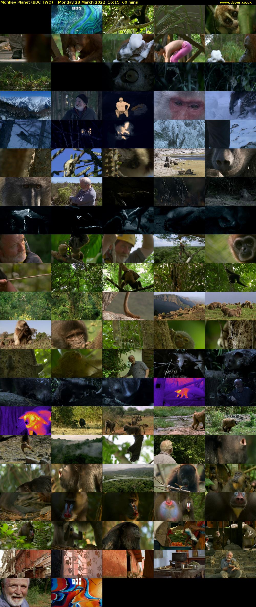 Monkey Planet (BBC TWO) Monday 28 March 2022 16:15 - 17:15