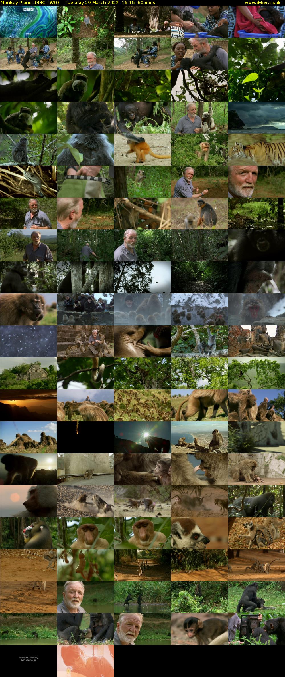 Monkey Planet (BBC TWO) Tuesday 29 March 2022 16:15 - 17:15