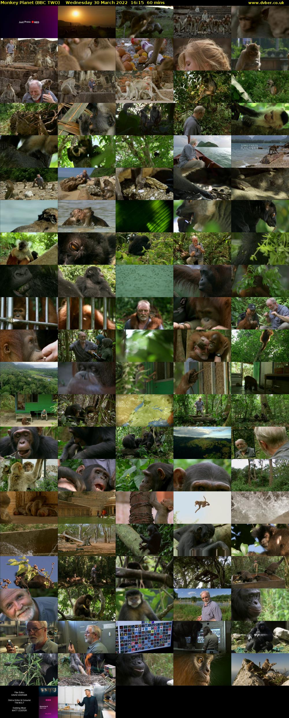 Monkey Planet (BBC TWO) Wednesday 30 March 2022 16:15 - 17:15