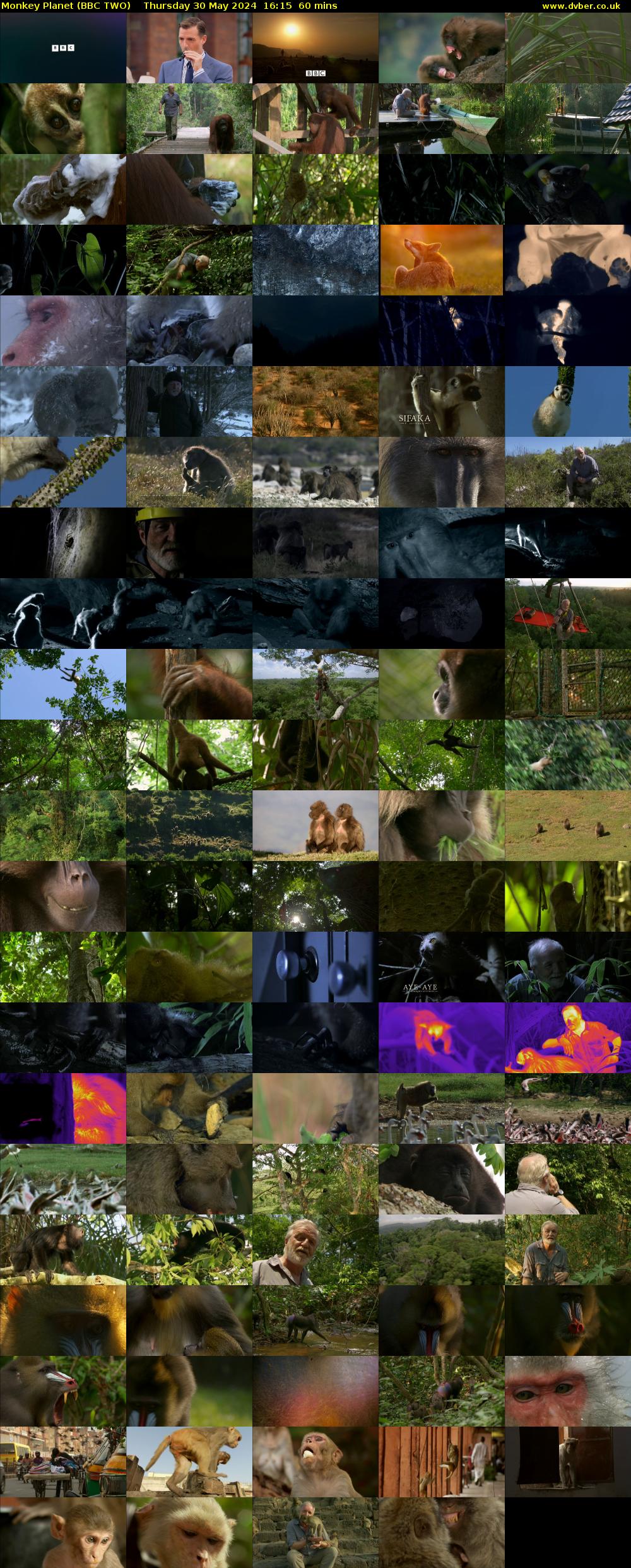 Monkey Planet (BBC TWO) Thursday 30 May 2024 16:15 - 17:15