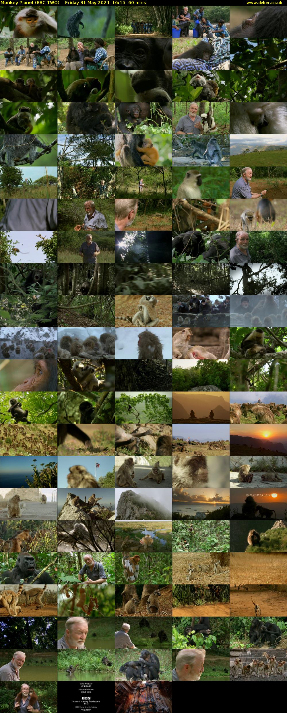 Monkey Planet (BBC TWO) Friday 31 May 2024 16:15 - 17:15