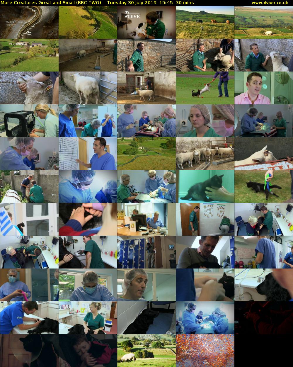 More Creatures Great and Small (BBC TWO) Tuesday 30 July 2019 15:45 - 16:15