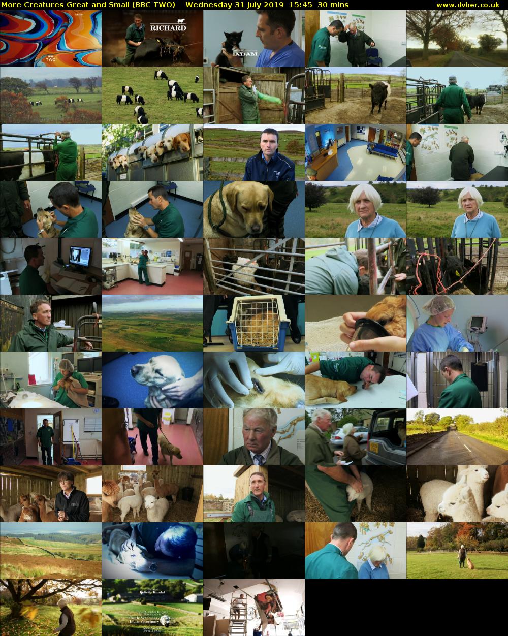 More Creatures Great and Small (BBC TWO) Wednesday 31 July 2019 15:45 - 16:15