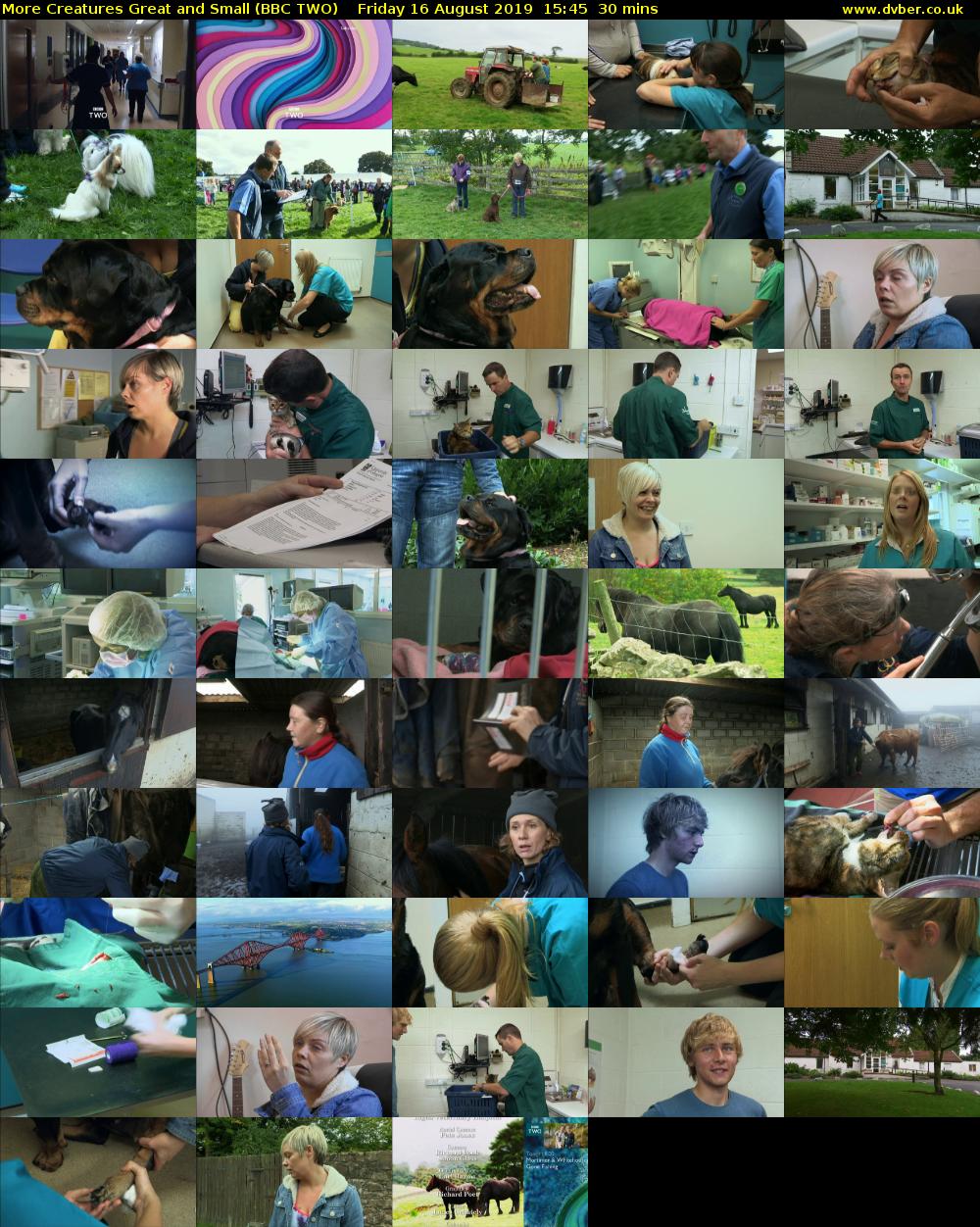 More Creatures Great and Small (BBC TWO) Friday 16 August 2019 15:45 - 16:15