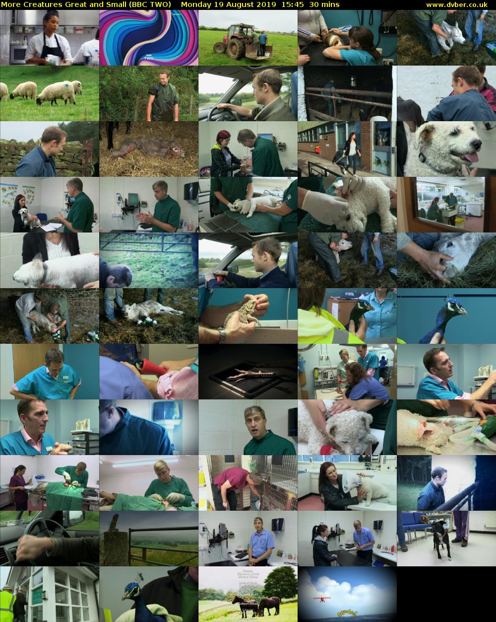 More Creatures Great and Small (BBC TWO) Monday 19 August 2019 15:45 - 16:15
