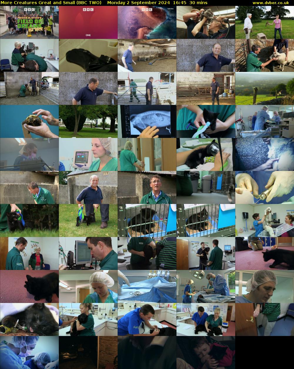 More Creatures Great and Small (BBC TWO) Monday 2 September 2024 16:45 - 17:15