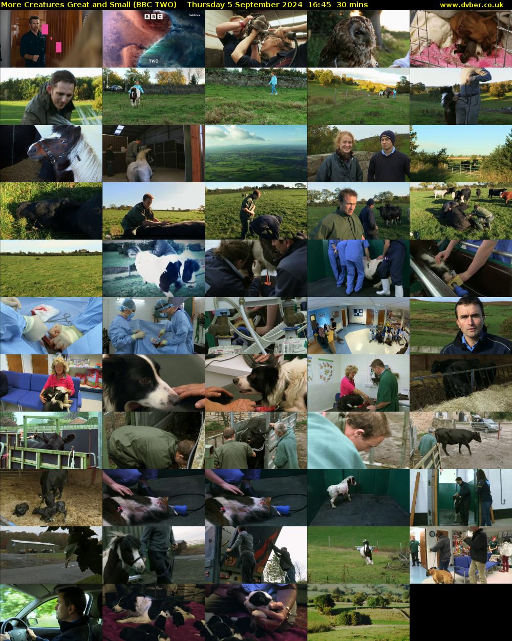 More Creatures Great and Small (BBC TWO) Thursday 5 September 2024 16:45 - 17:15