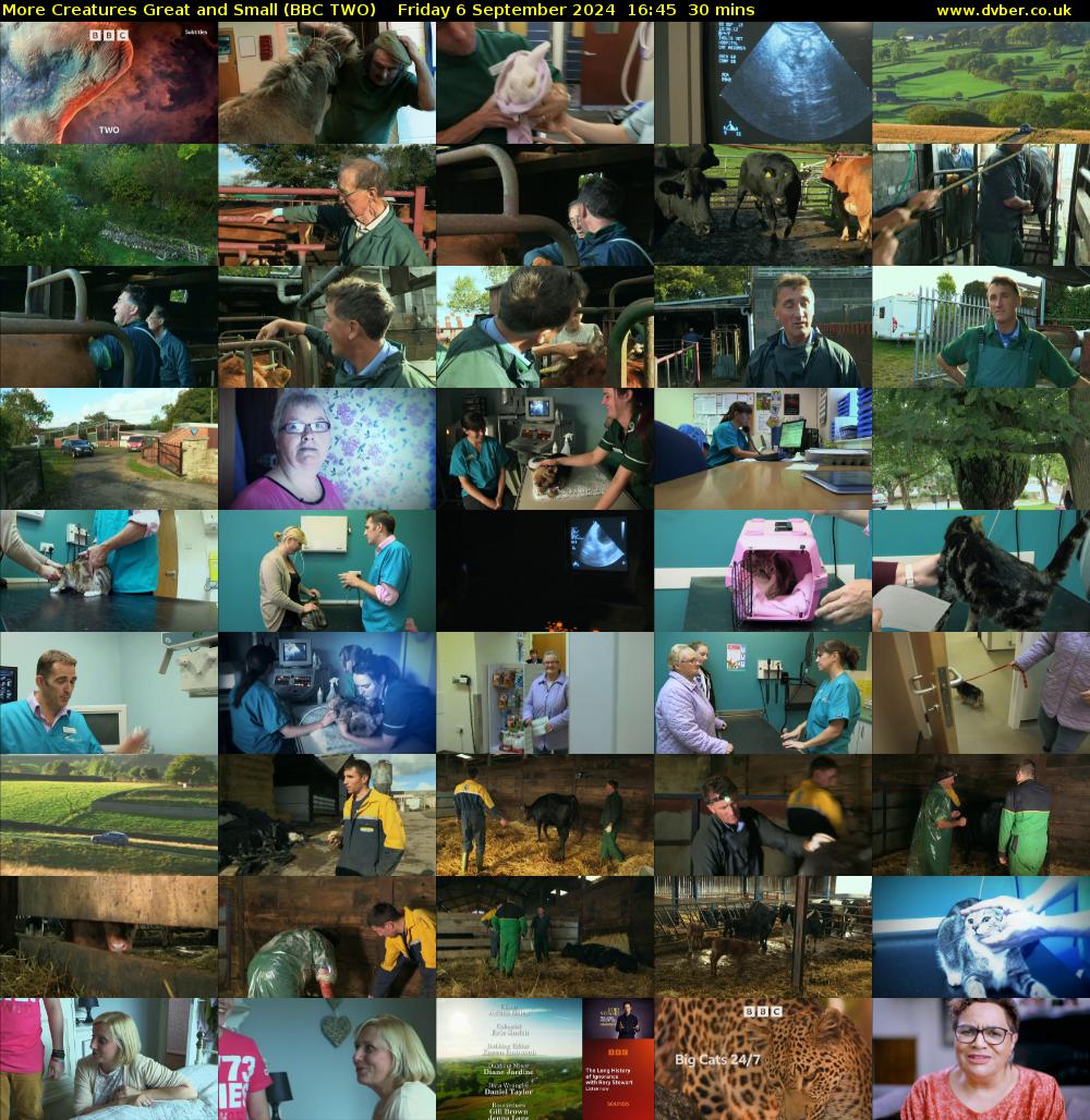 More Creatures Great and Small (BBC TWO) Friday 6 September 2024 16:45 - 17:15