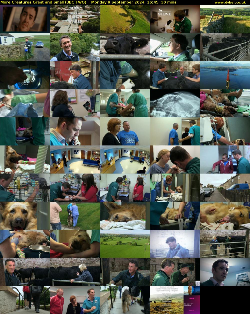 More Creatures Great and Small (BBC TWO) Monday 9 September 2024 16:45 - 17:15
