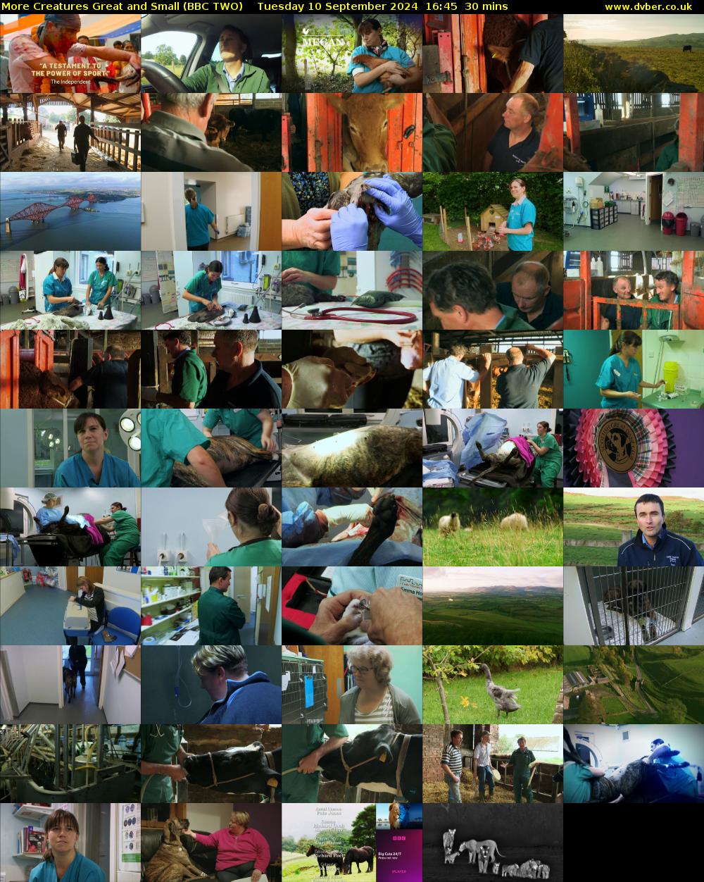 More Creatures Great and Small (BBC TWO) Tuesday 10 September 2024 16:45 - 17:15
