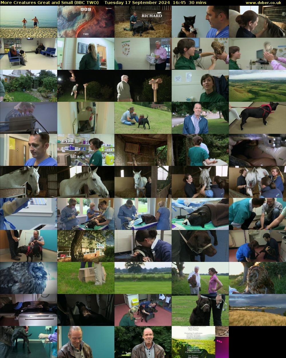 More Creatures Great and Small (BBC TWO) Tuesday 17 September 2024 16:45 - 17:15