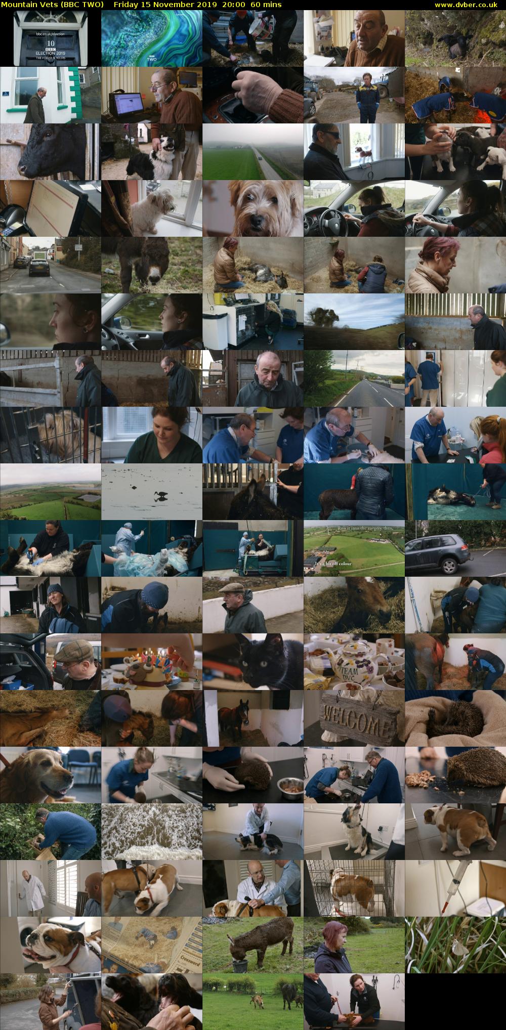 Mountain Vets (BBC TWO) Friday 15 November 2019 20:00 - 21:00
