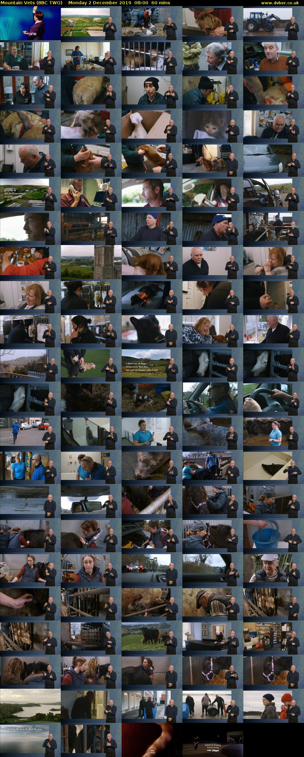 Mountain Vets (BBC TWO) Monday 2 December 2019 08:00 - 09:00