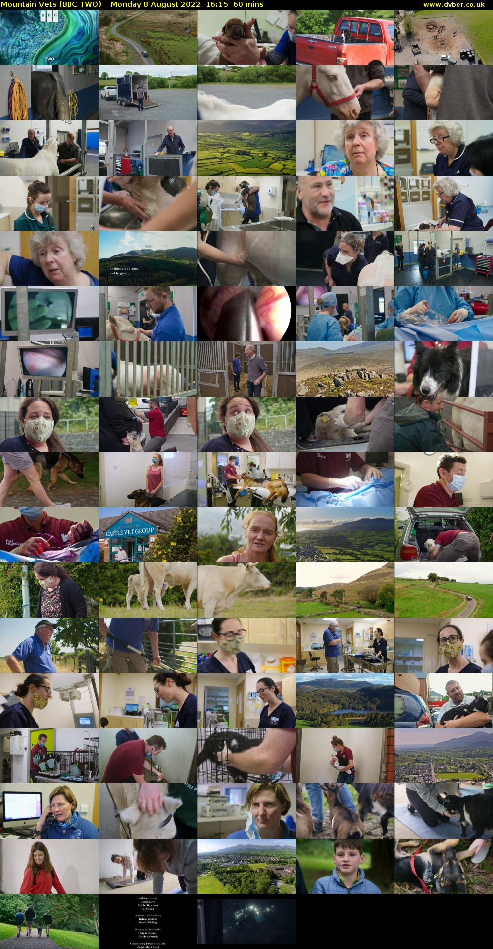 Mountain Vets (BBC TWO) Monday 8 August 2022 16:15 - 17:15