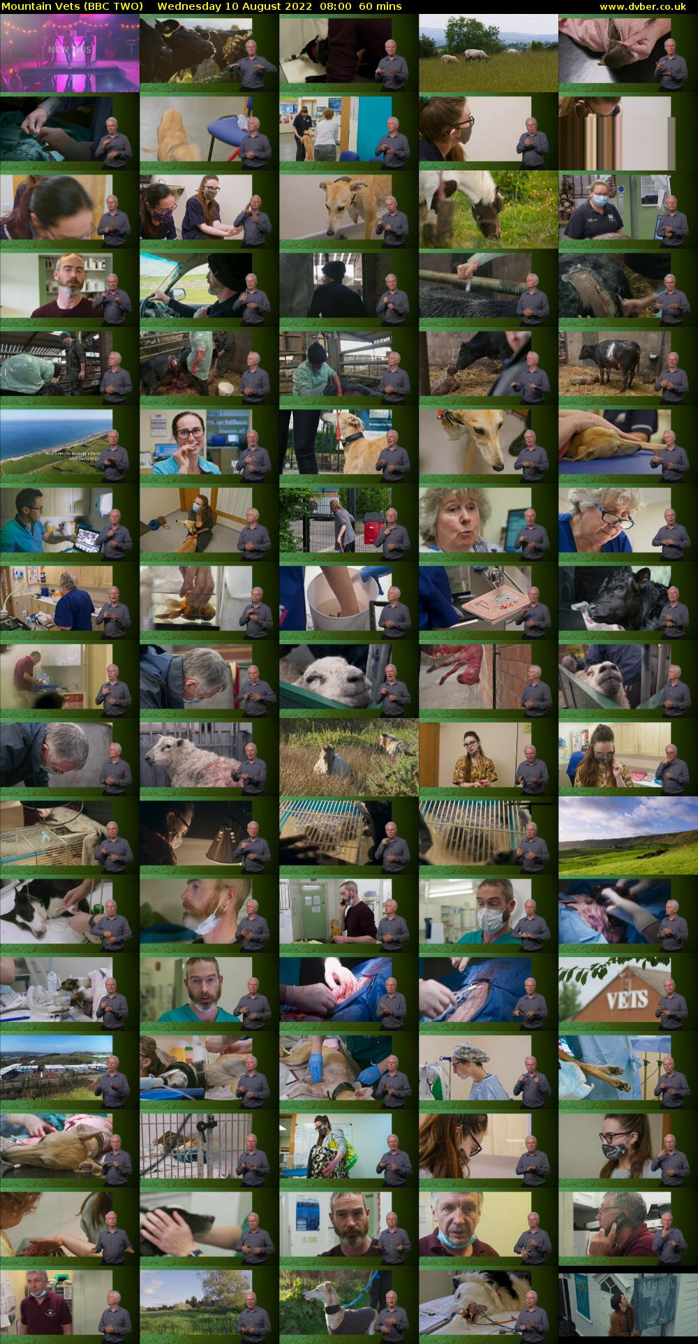 Mountain Vets (BBC TWO) Wednesday 10 August 2022 08:00 - 09:00