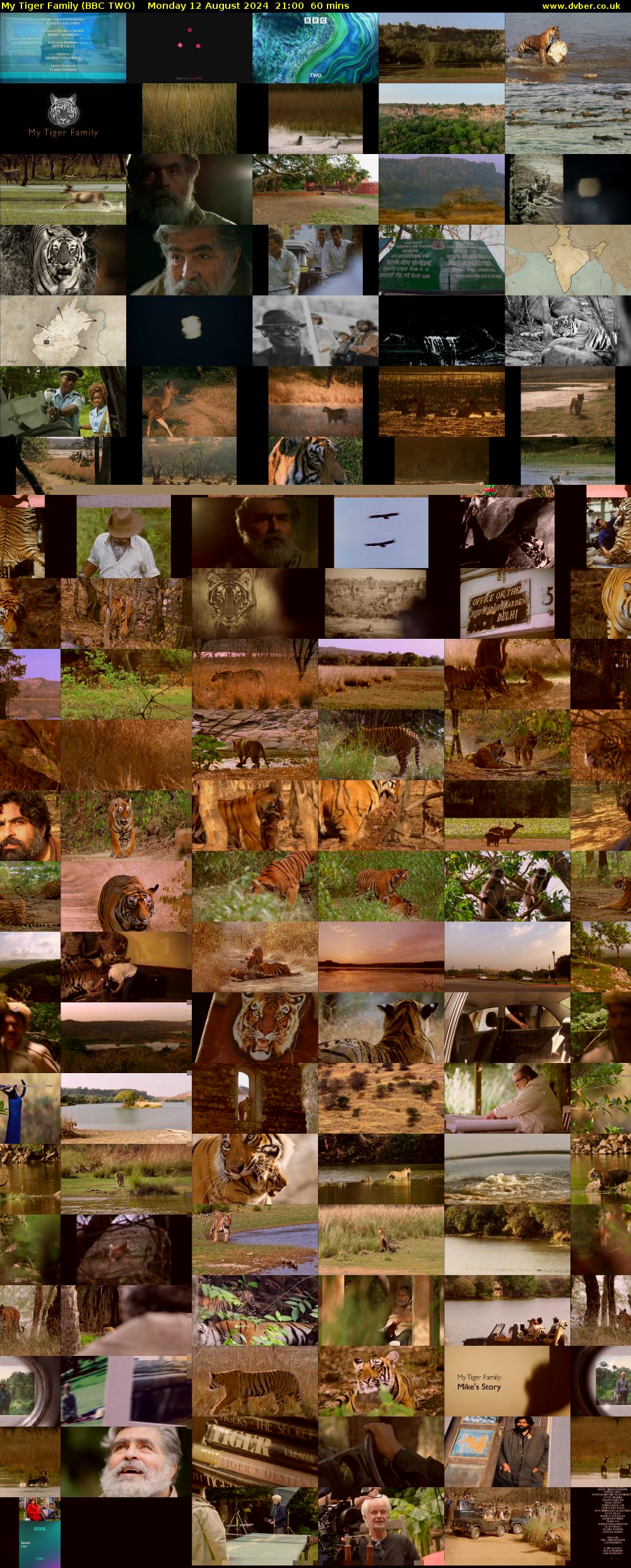 My Tiger Family (BBC TWO) Monday 12 August 2024 21:00 - 22:00