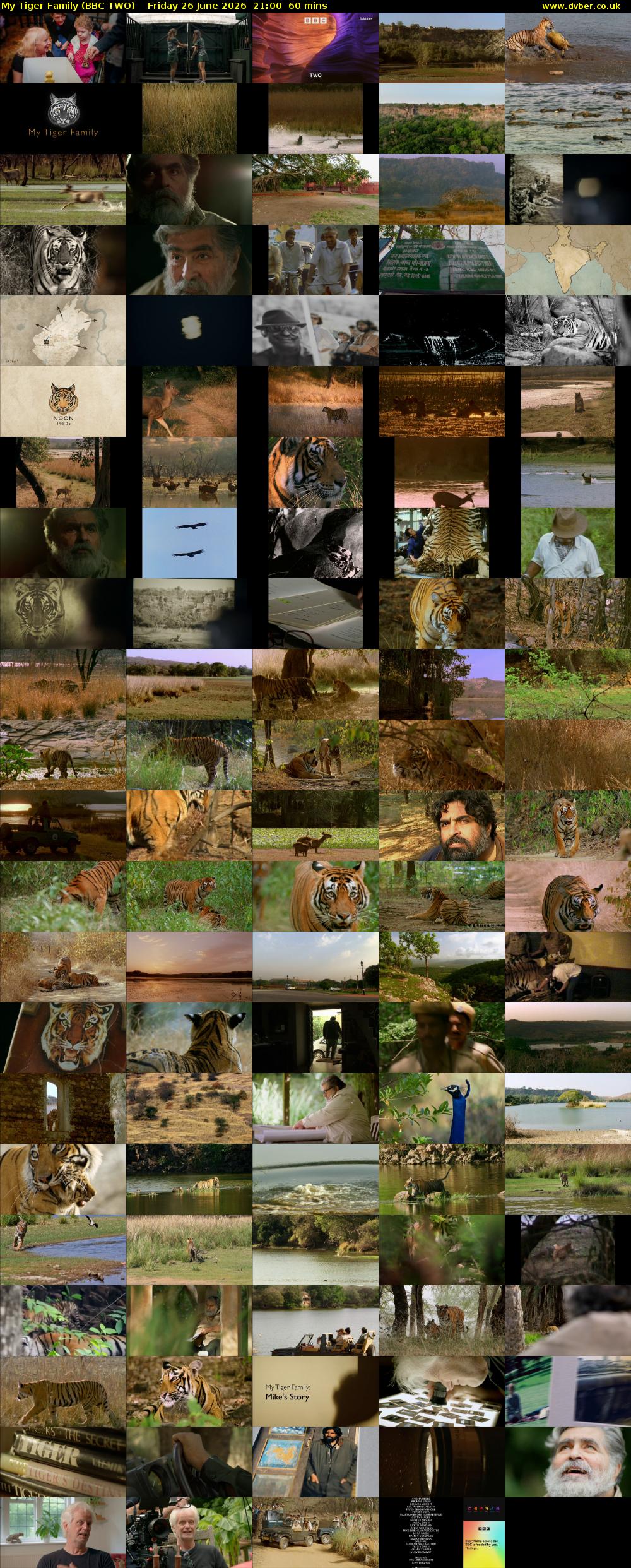 My Tiger Family (BBC TWO) Friday 26 June 2026 21:00 - 22:00