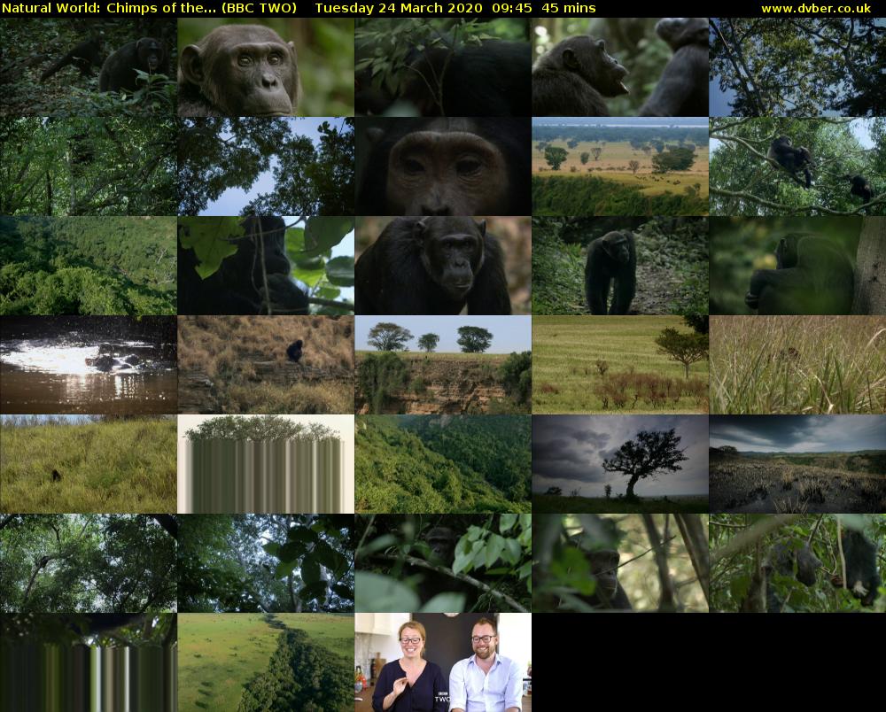 Natural World: Chimps of the... (BBC TWO) Tuesday 24 March 2020 09:45 - 10:30
