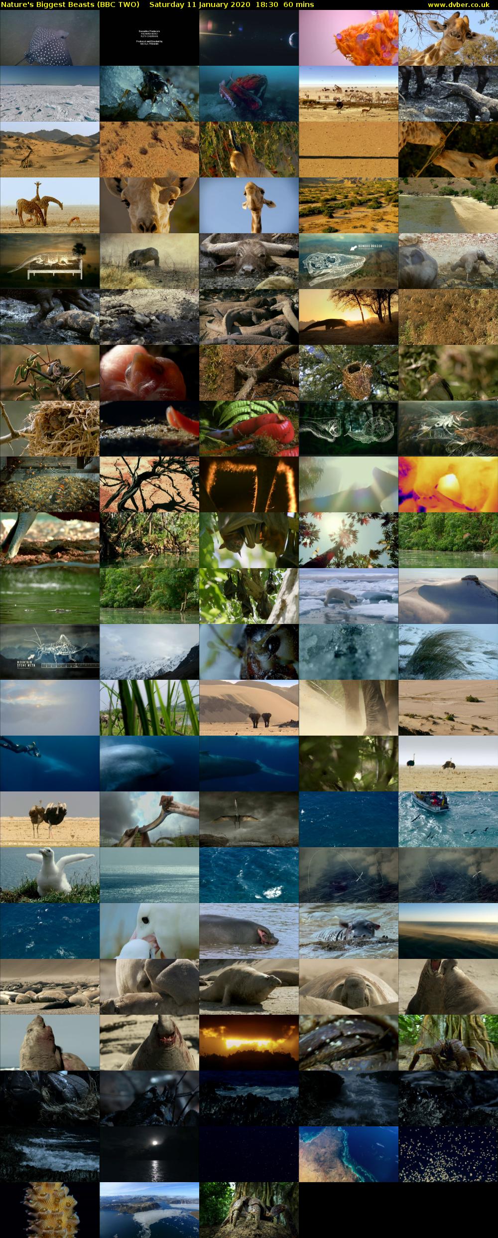 Nature's Biggest Beasts (BBC TWO) Saturday 11 January 2020 18:30 - 19:30