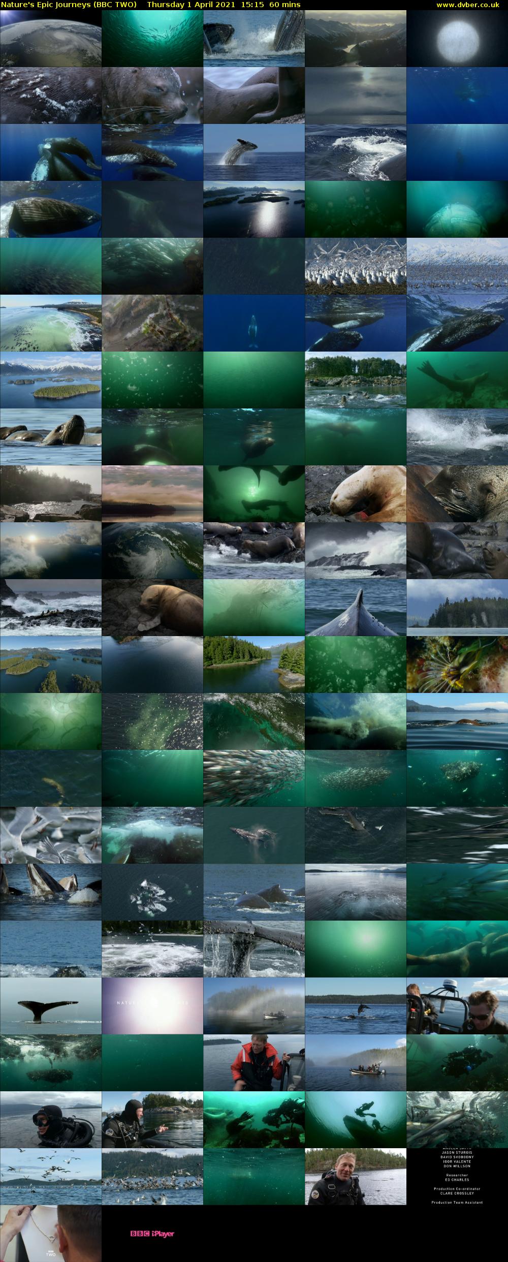 Nature's Epic Journeys (BBC TWO) Thursday 1 April 2021 15:15 - 16:15