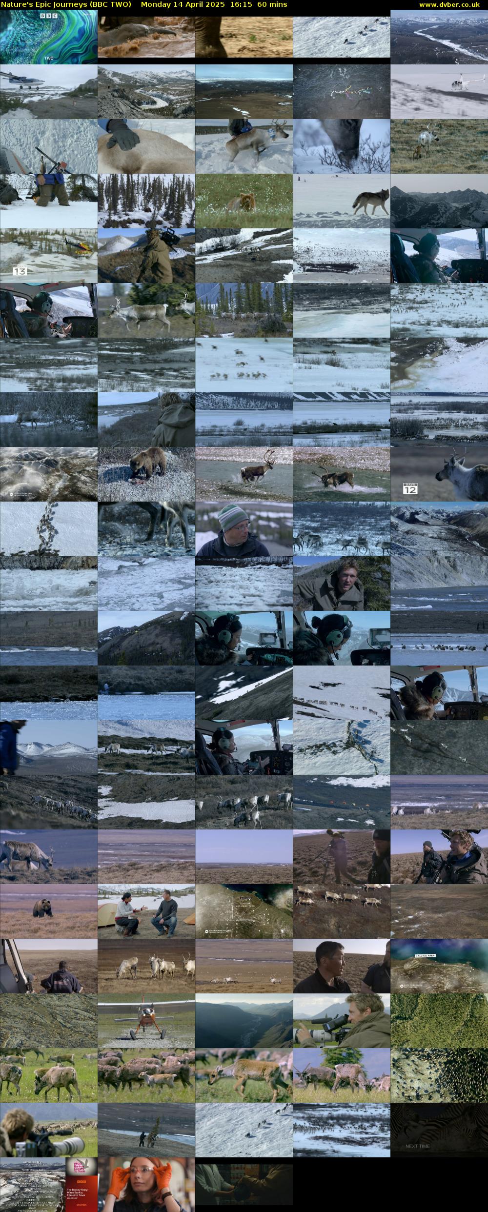 Nature's Epic Journeys (BBC TWO) Monday 14 April 2025 16:15 - 17:15