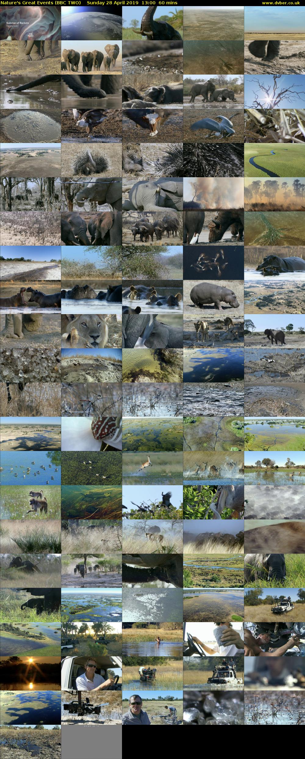 Nature's Great Events (BBC TWO) Sunday 28 April 2019 13:00 - 14:00