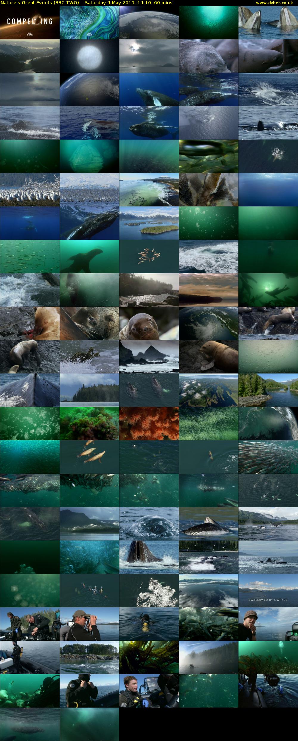 Nature's Great Events (BBC TWO) Saturday 4 May 2019 14:10 - 15:10
