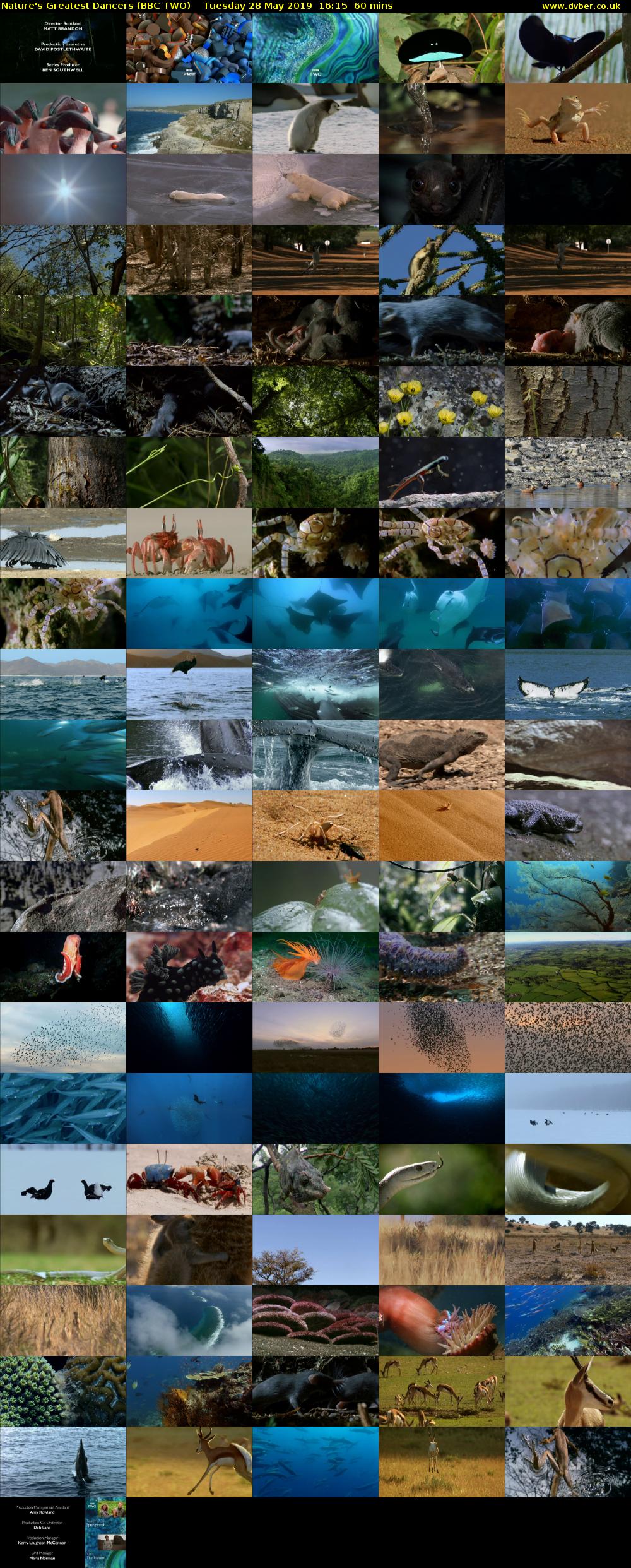 Nature's Greatest Dancers (BBC TWO) Tuesday 28 May 2019 16:15 - 17:15